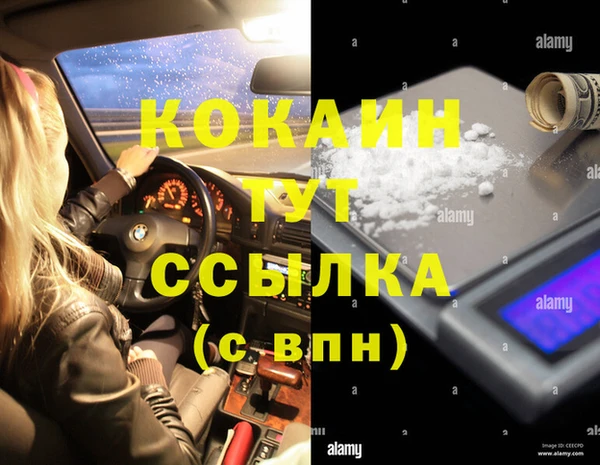 не бодяженный Гусев