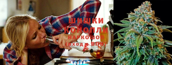 дмт Горно-Алтайск