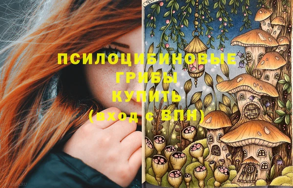 мдпв Гусиноозёрск