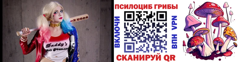 Галлюциногенные грибы Cubensis  Купить где  Салехард 